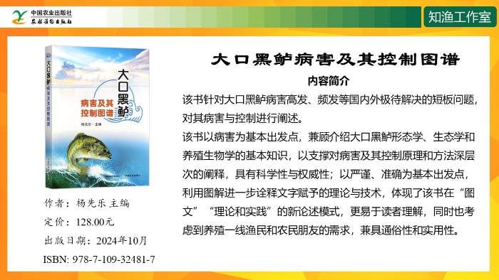 幻燈片12